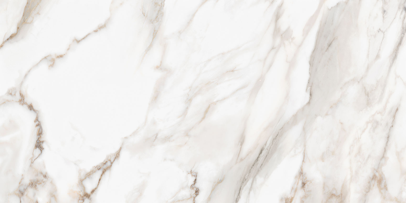 Royal Stoneworks 24X48 Calacatta Royale Honed | Matteo Kitchens