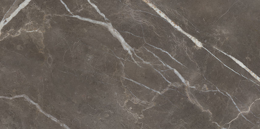 Royal Stoneworks 24X48 Regal Brown Marble Vintage Pv | Matteo Kitchens