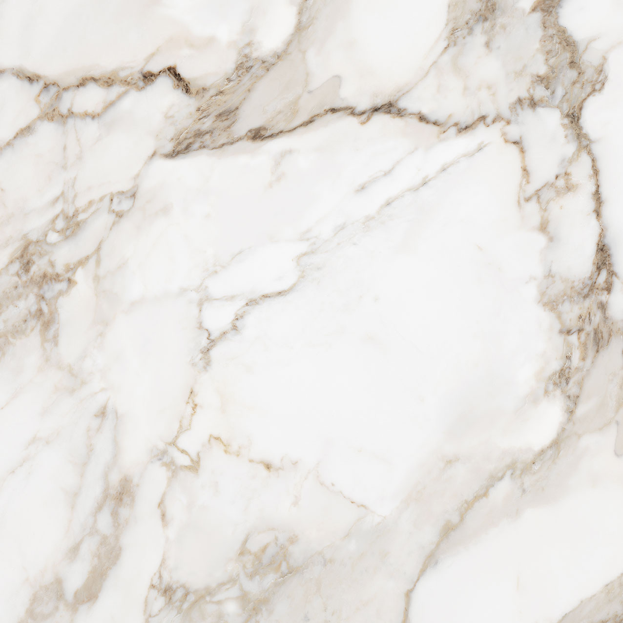Royal Stoneworks 36X36 Calacatta Royale Honed | Matteo Kitchens