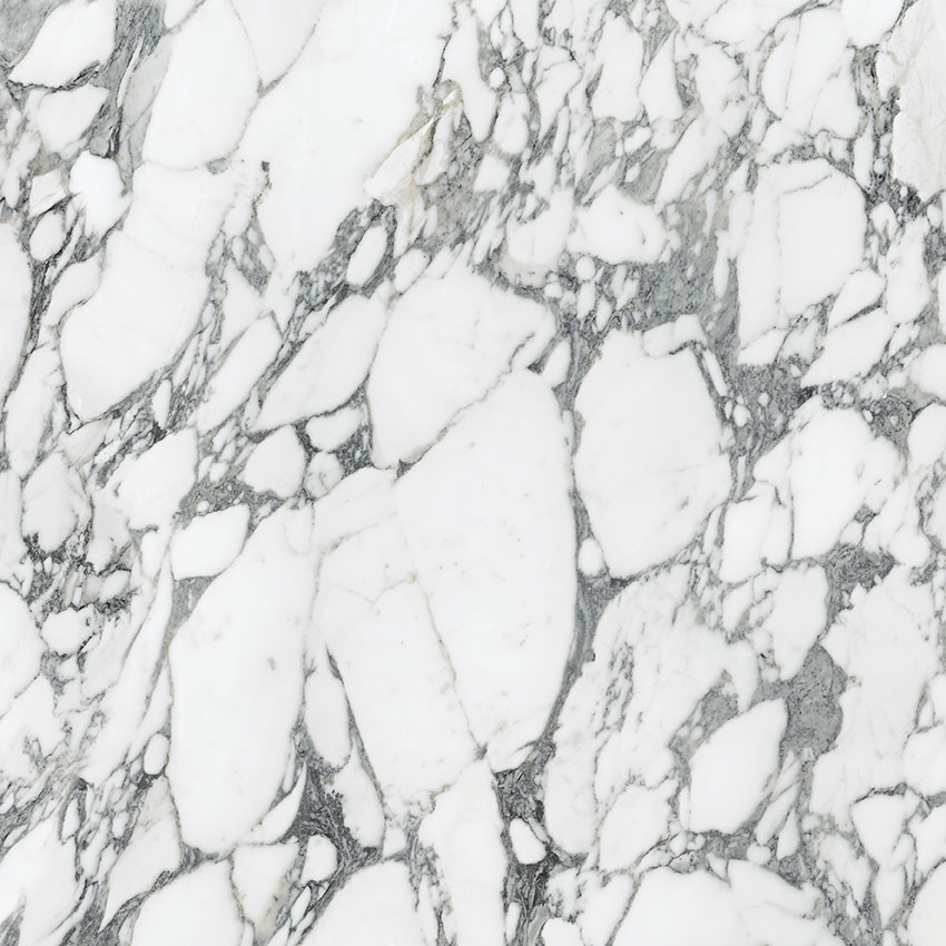 Royal Stoneworks 36X36 Italian Arabescato Honed | Matteo Kitchens