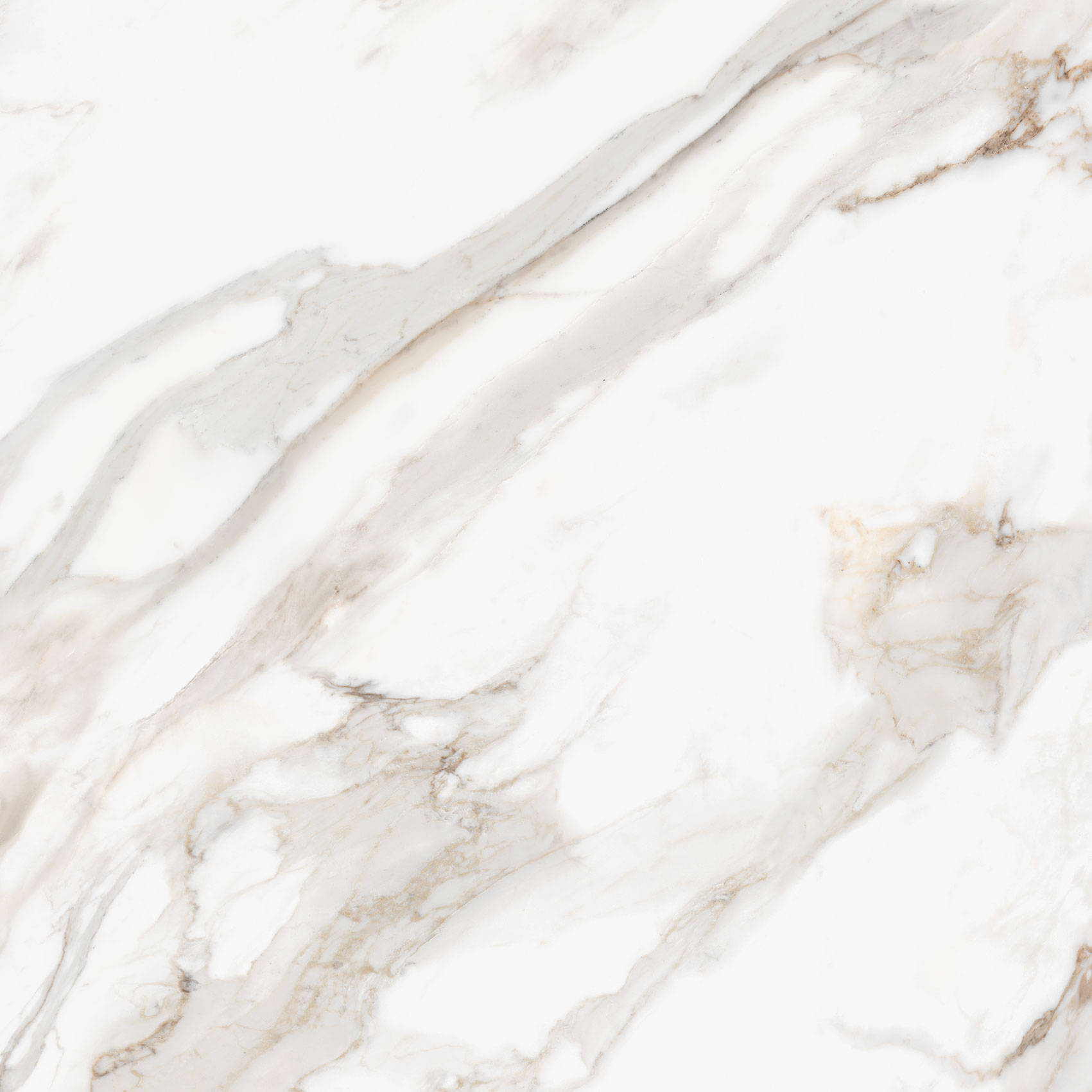 Royal Stoneworks 48X48 Calacatta Royale Polished | Matteo Kitchens