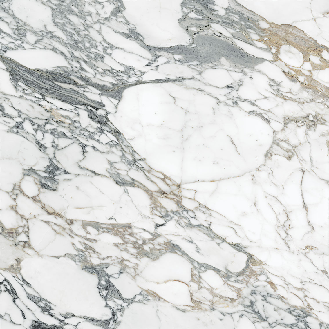 Royal Stoneworks 48X48 Italian Arabescato Polished | Matteo Kitchens
