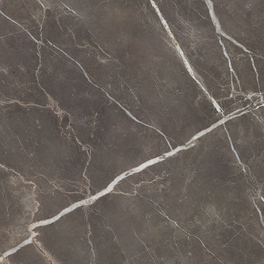 Royal Stoneworks 48X48 Regal Brown Marble Honed | Matteo Kitchens