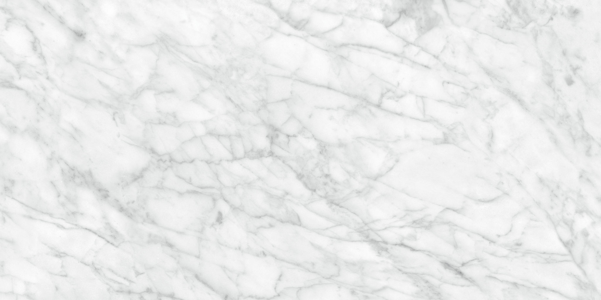 Plata 24x48 Carrara Abisso Matte | Matteo Kitchens