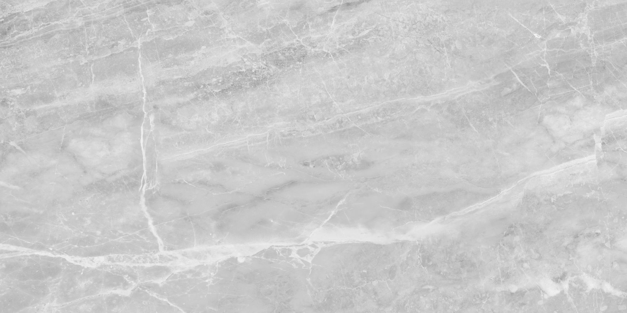 Plata 24x48 Perla Grigia Matte | Matteo Kitchens